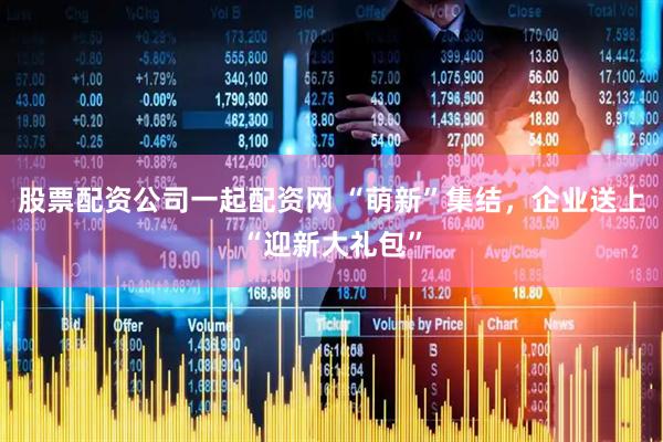 股票配资公司一起配资网 “萌新”集结，企业送上“迎新大礼包”